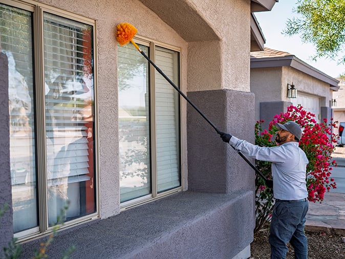 dewebbing service at a tucson az home