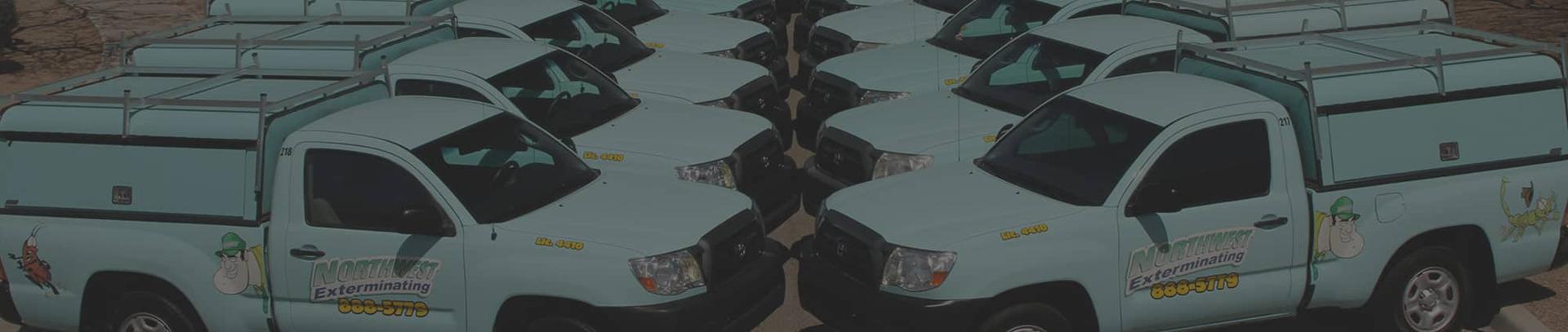 northwest exterminating fleet