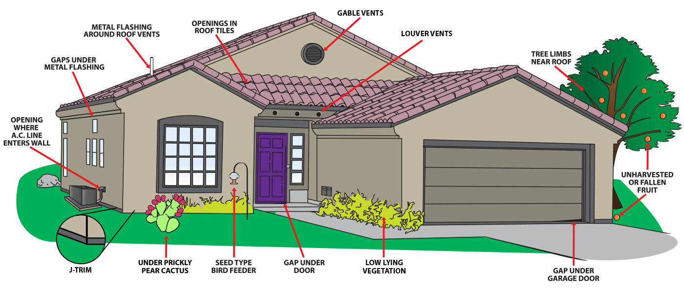 desert guard home protection graphic